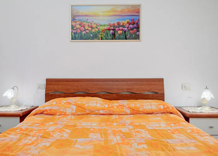 Conchiglia * Nuragheddu